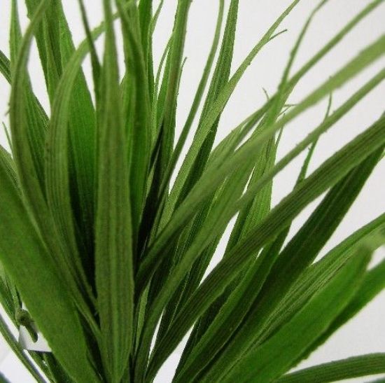 FLOCKED SWORD GRASS