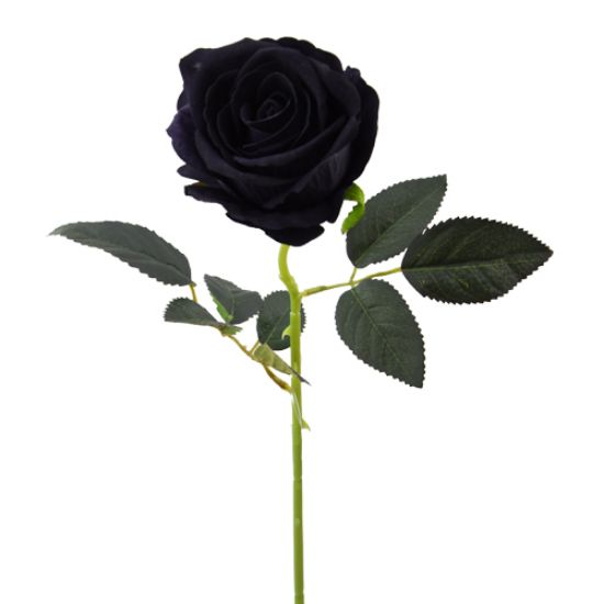 SINGLE LARGE VELVET TOUCH OPEN ROSE- BLACK