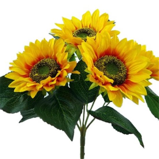 LARGE SUNFLOWER BUSH