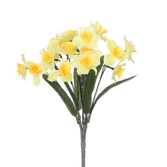 DAFFODIL BUSH