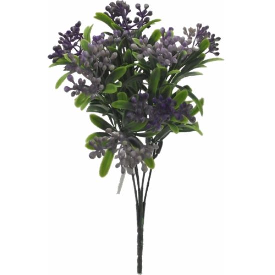 BERRY BUSH PURPLE/LILAC
