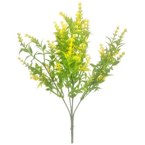 Astilbe Bush - Yellow