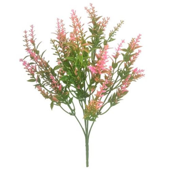 Astilbe Bush - Pink