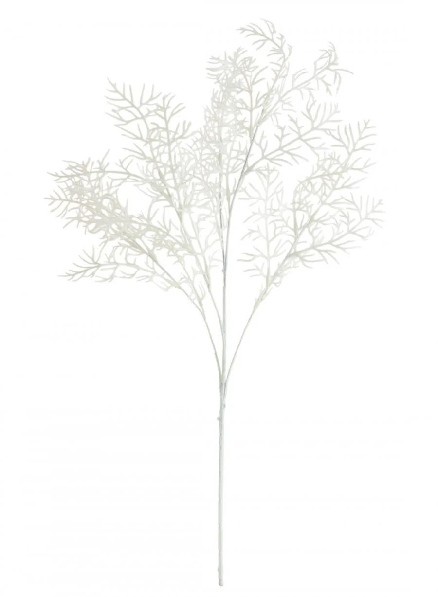 Winter Branch