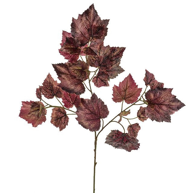 Grape Ivy Spray