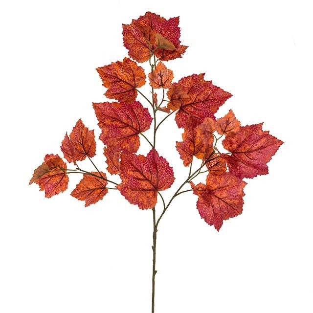 Grape Ivy Spray
