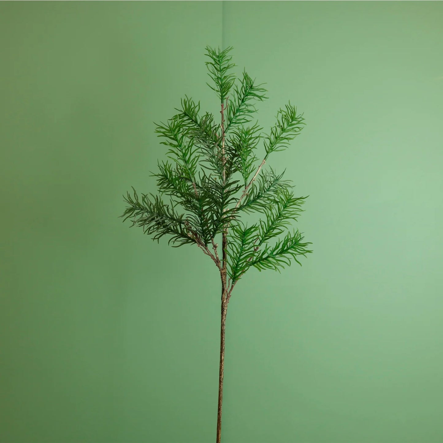 Premium Spikey Spruce Spray