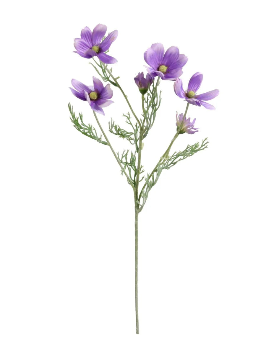 Cosmos Spray - Purple