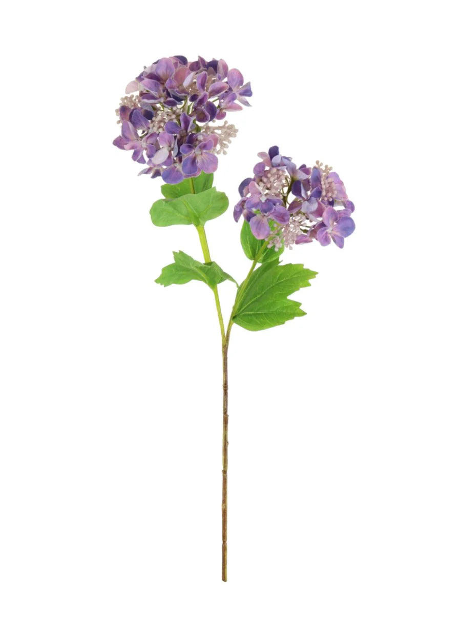 Lace Cap Hydrangea Stem - Lilac