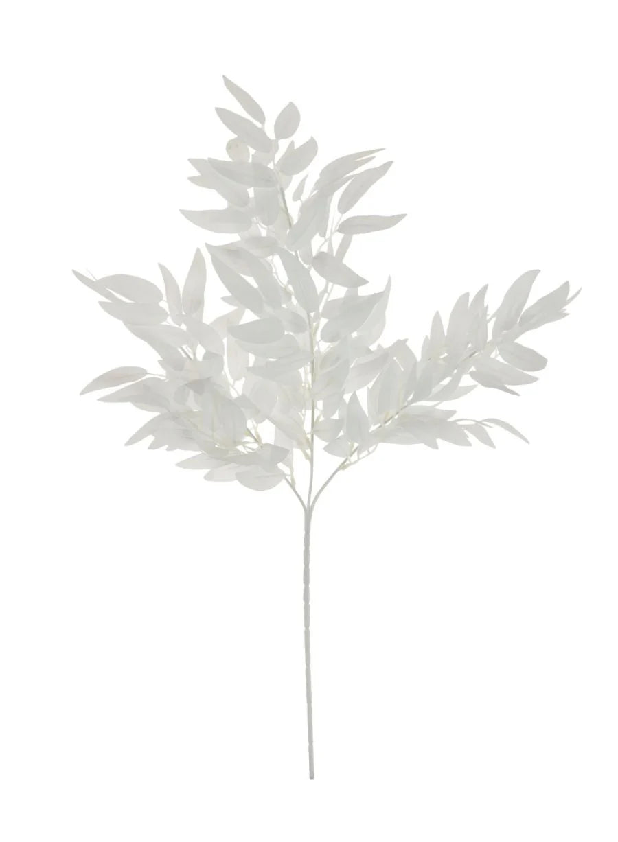 White Soft Ruscus Leaf Spray