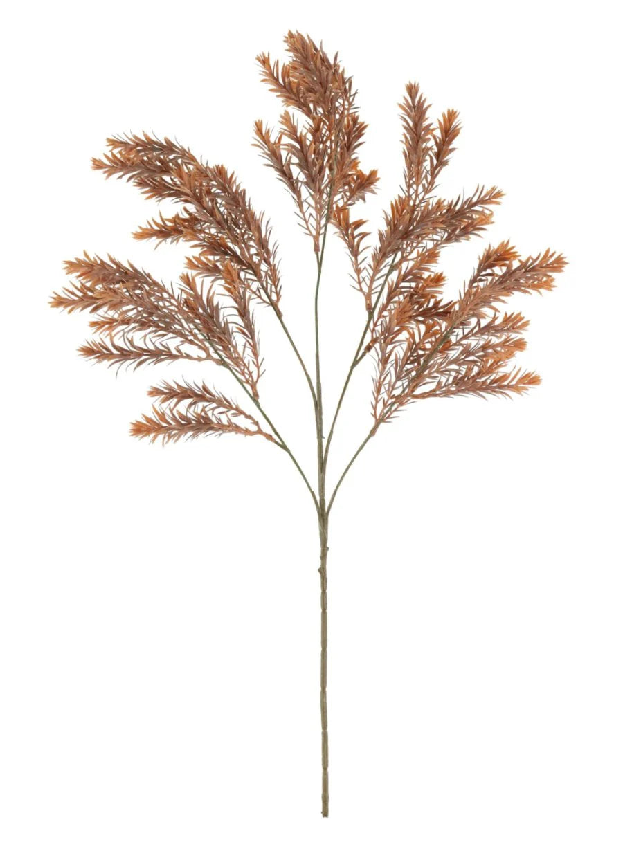 Raven Leaf Spray - Orange