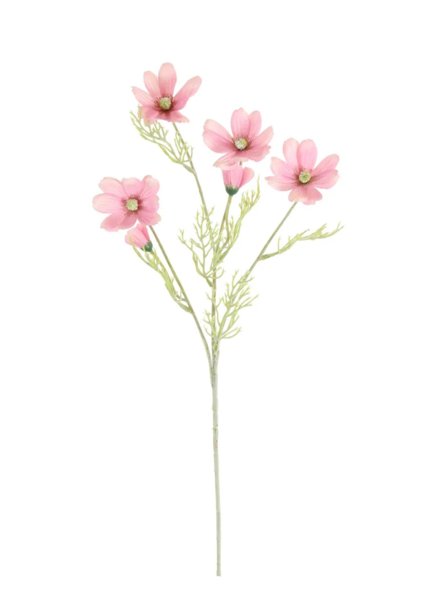 Cosmos Spray - Pink