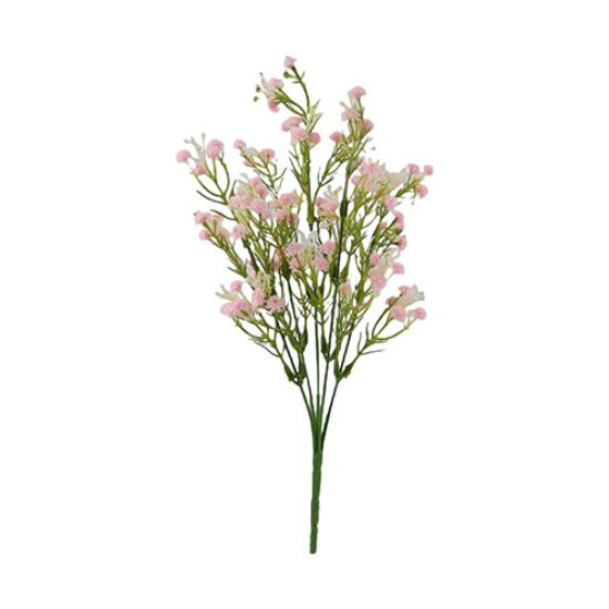 Gypsophila Bush