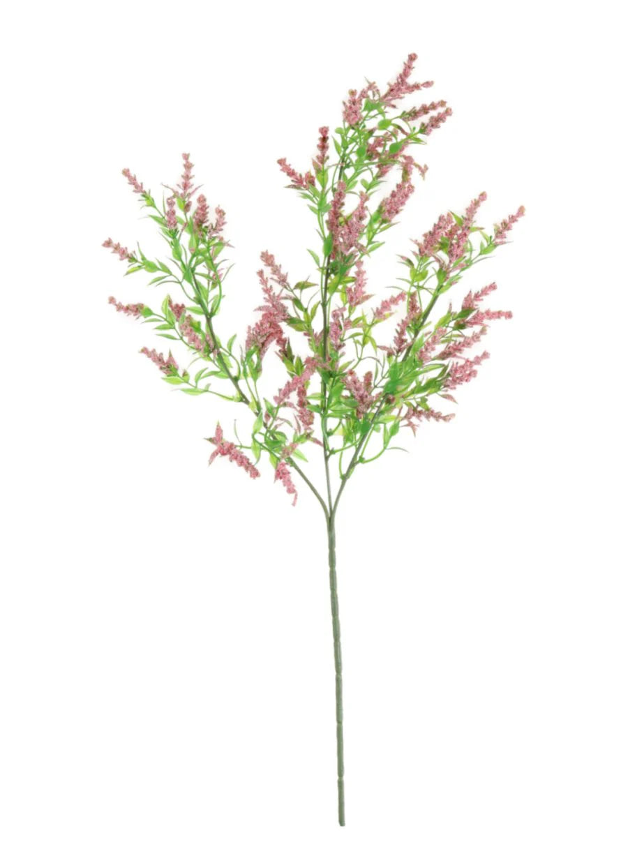 Wild Lavender