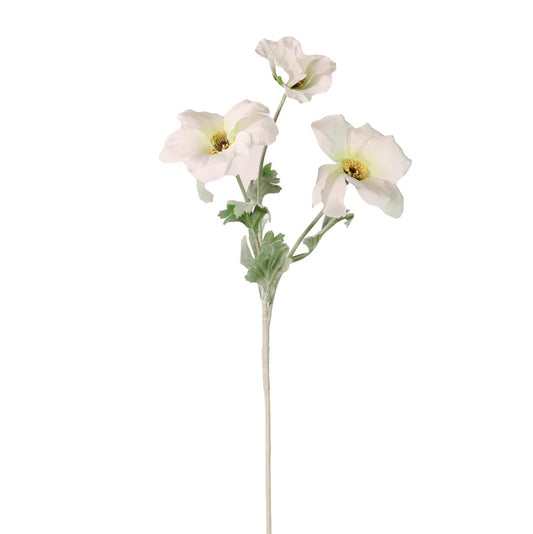 Trumpet Valentina Spray- Ivory