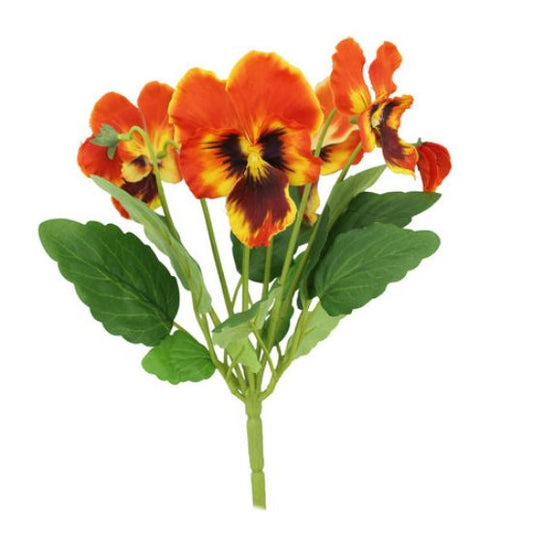 PANSY BUSH ORANGE