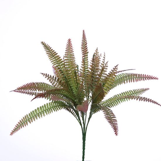 FERN BUSH GREEN/BROWN