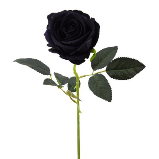 SINGLE LARGE VELVET TOUCH OPEN ROSE- BLACK