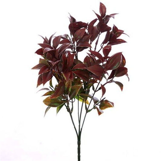Autumn Ruscus Bush