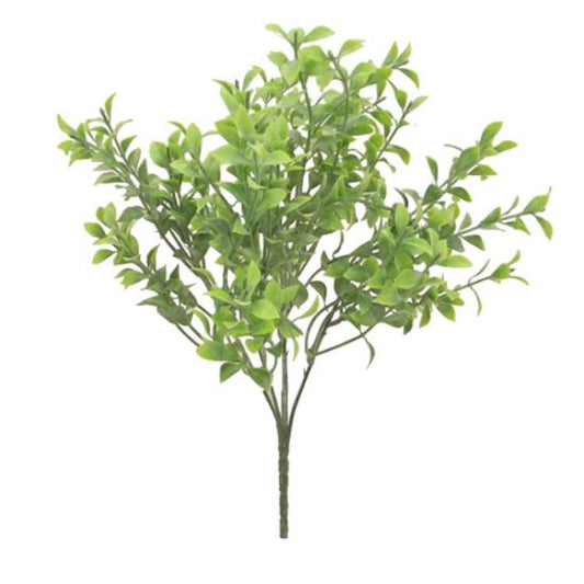 MINI TEA LEAF BUSH FROSTED 2 TONE GREEN