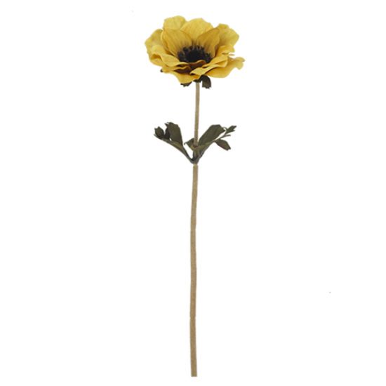 SINGLE ANEMONE