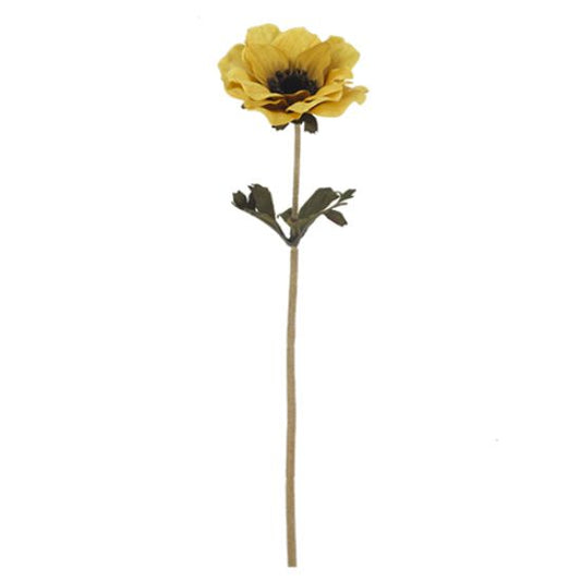 SINGLE ANEMONE