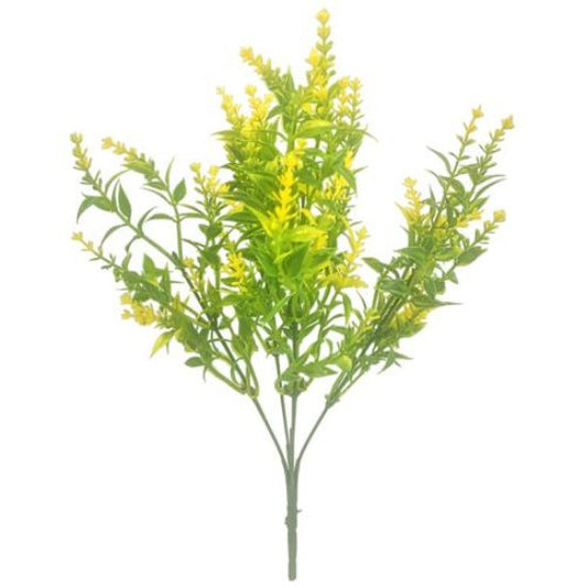 Astilbe Bush - Yellow