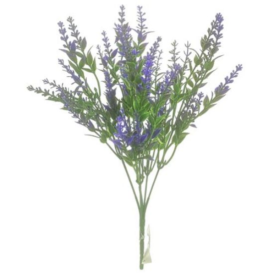 Astilbe Bush - Purple