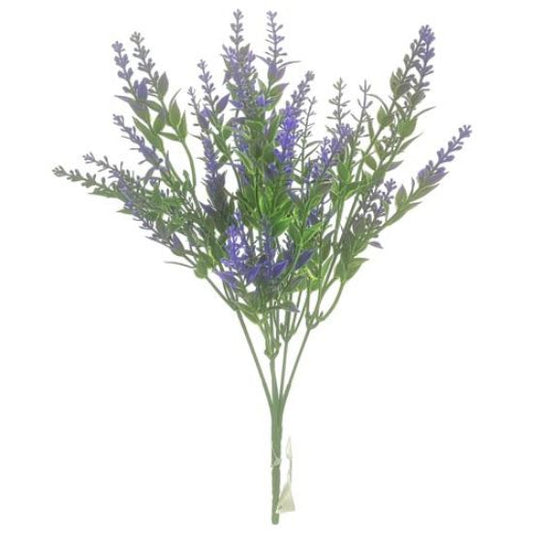 Astilbe Bush - Purple