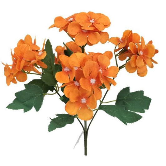 HYDRANGEA BUSH ORANGE