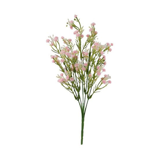 Gypsophila Bush - Pink