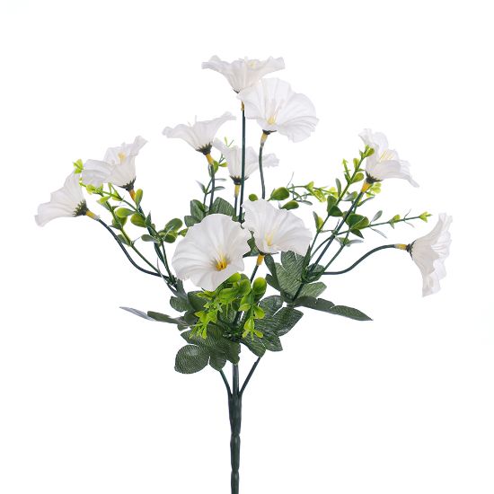 MORNING GLORY BUSH IVORY