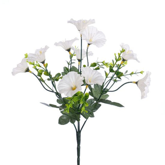 MORNING GLORY BUSH IVORY