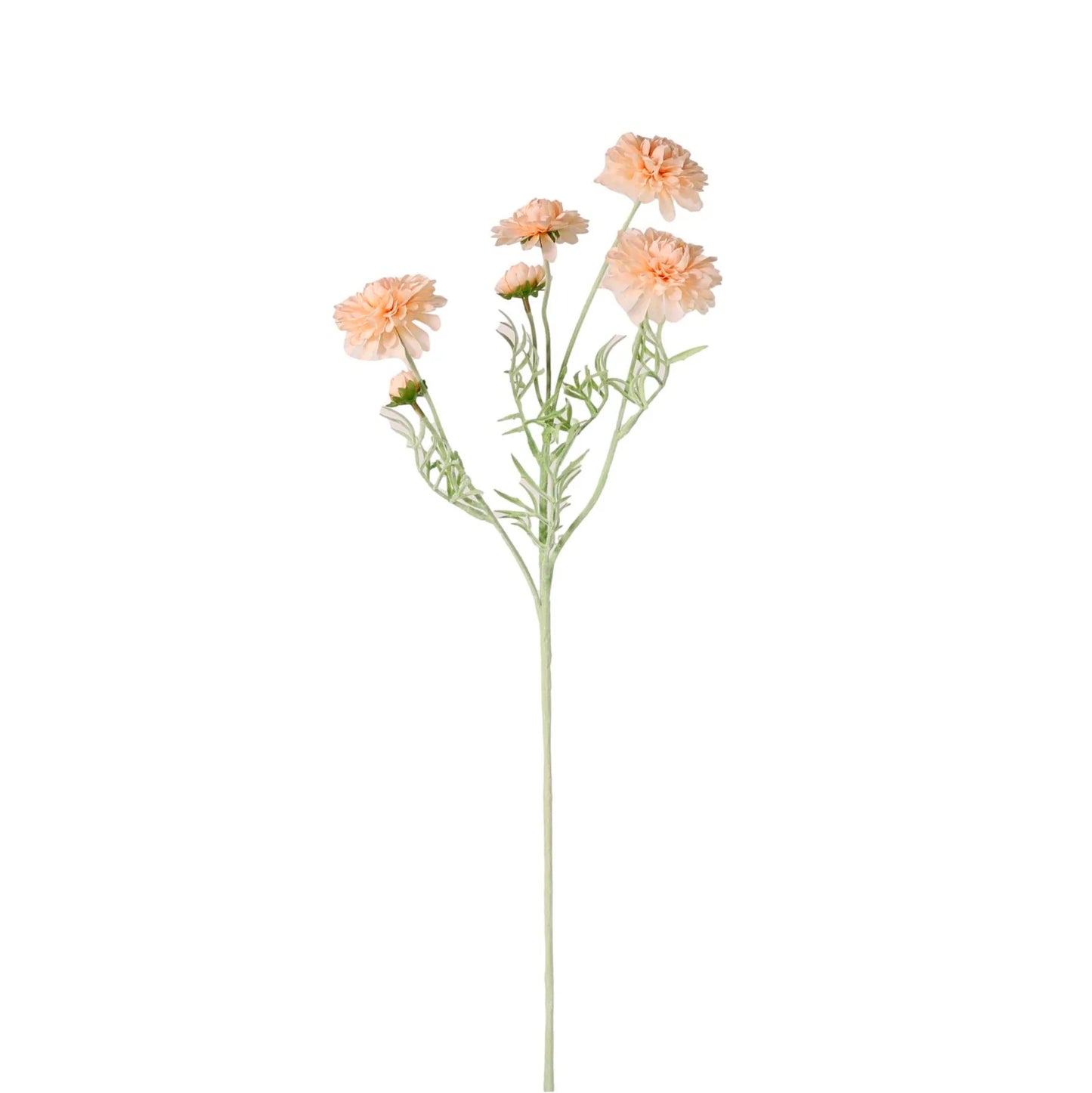 Melody Spray- Peach