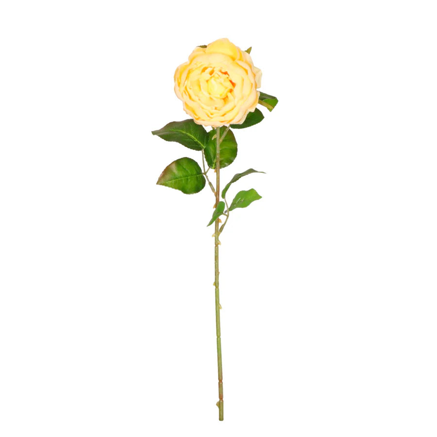 Lola Peony Stem- Yellow