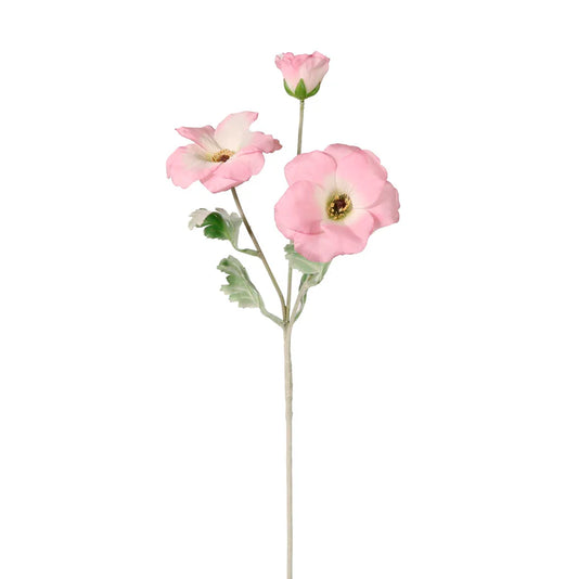 Trumpet Valentina Spray- Pink