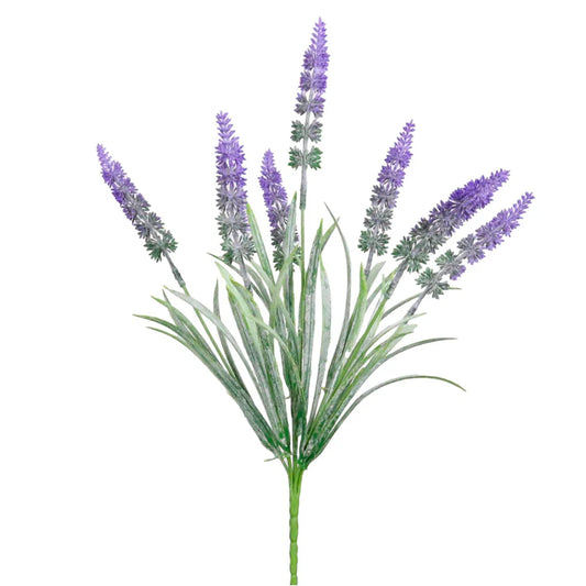 Spikey Lavender Bunch