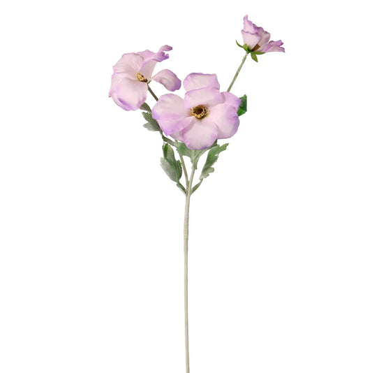 Trumpet Valentina Spray- Lilac