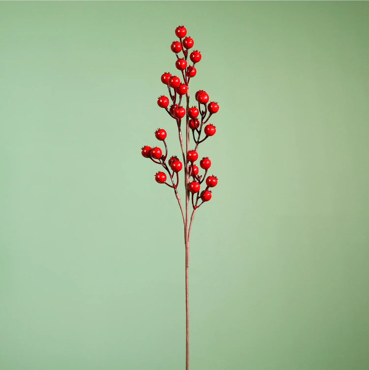 Red Berry Pip (New)