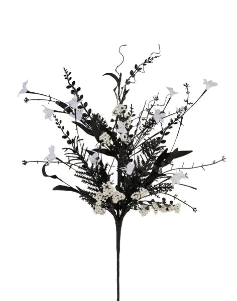 60919 - Black and White