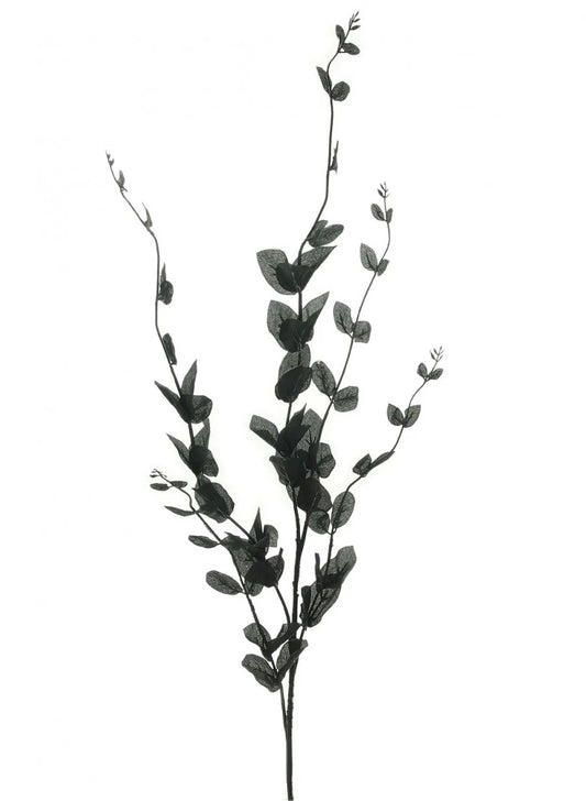 Black Leaf Spray