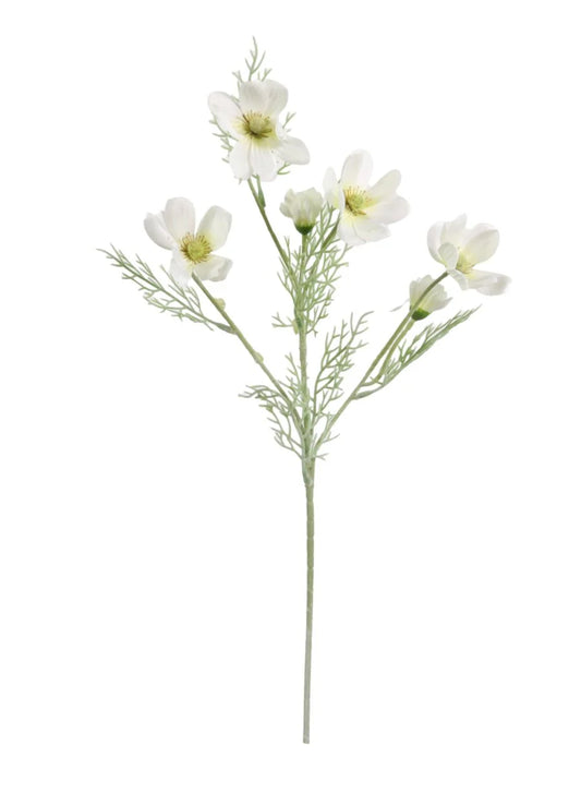 Cosmos Spray - Ivory