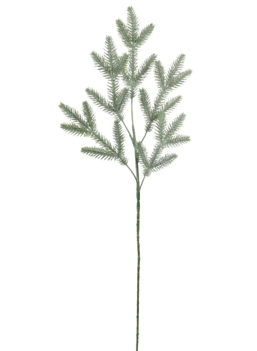 Blue Spruce Spray