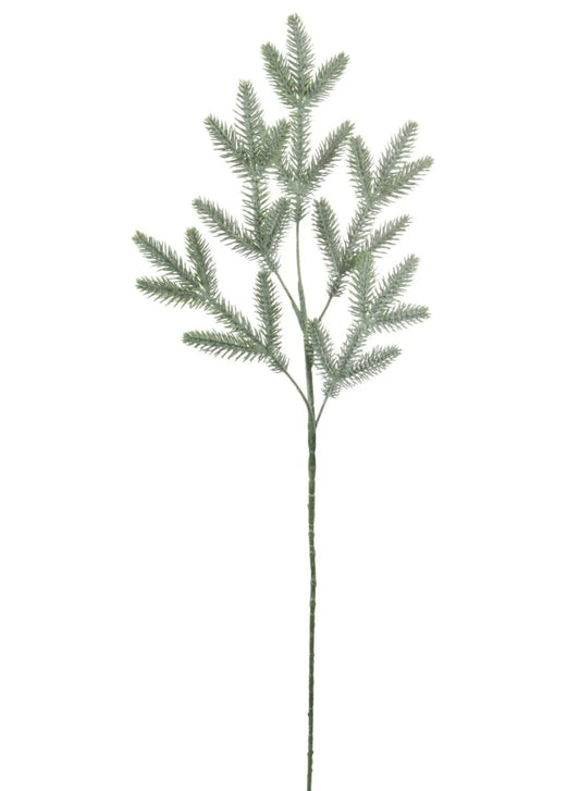 Blue Spruce Spray