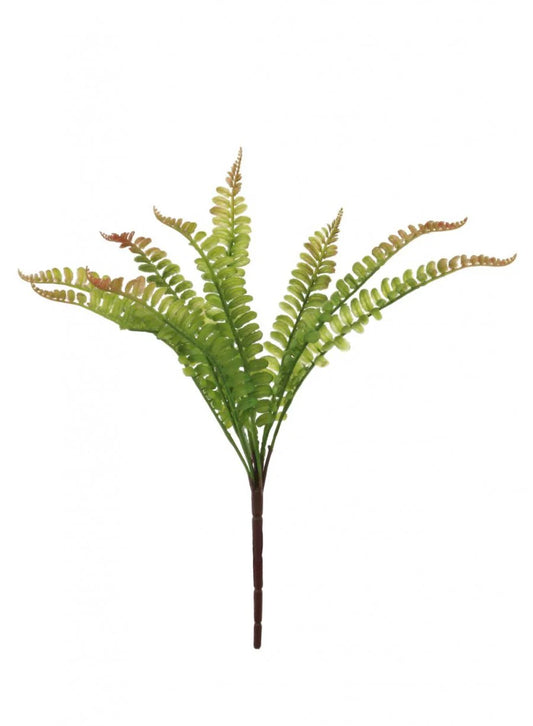 Fern Bunch - Tipped Brown