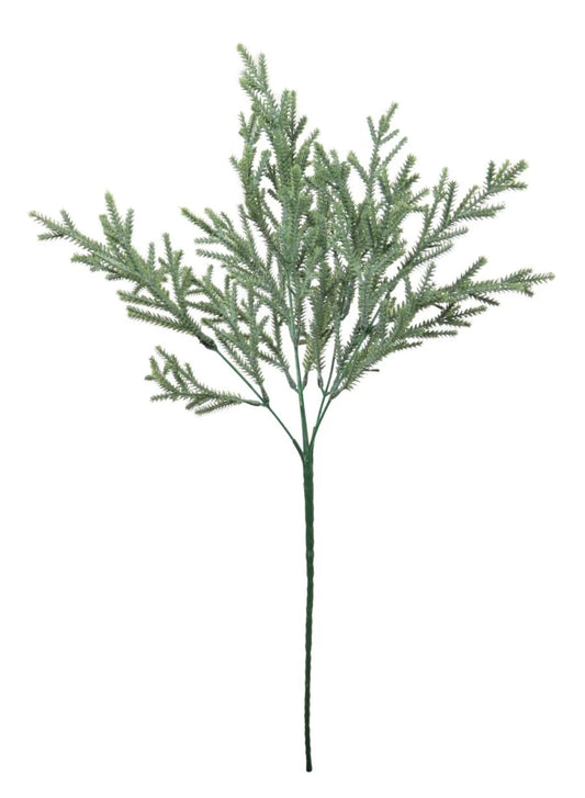 Fir Spray