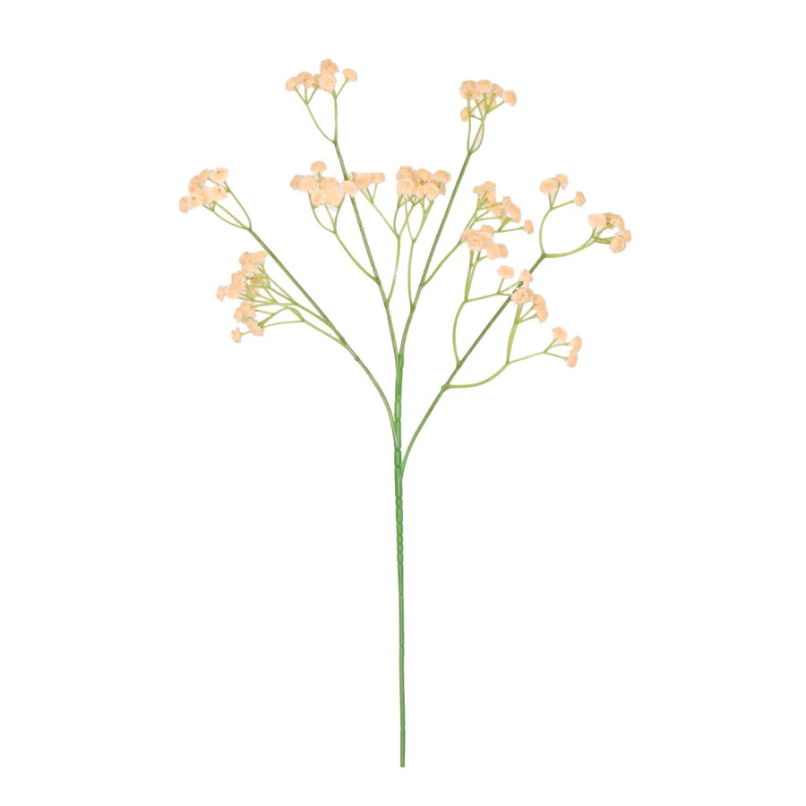 Fluffy Gypsophilia Spray - Apricot