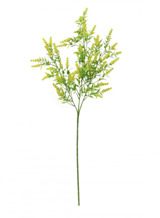 Wild Lavender - Yellow