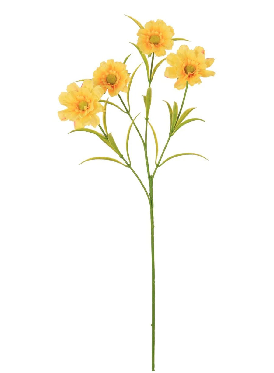 Lila Daisy Spray