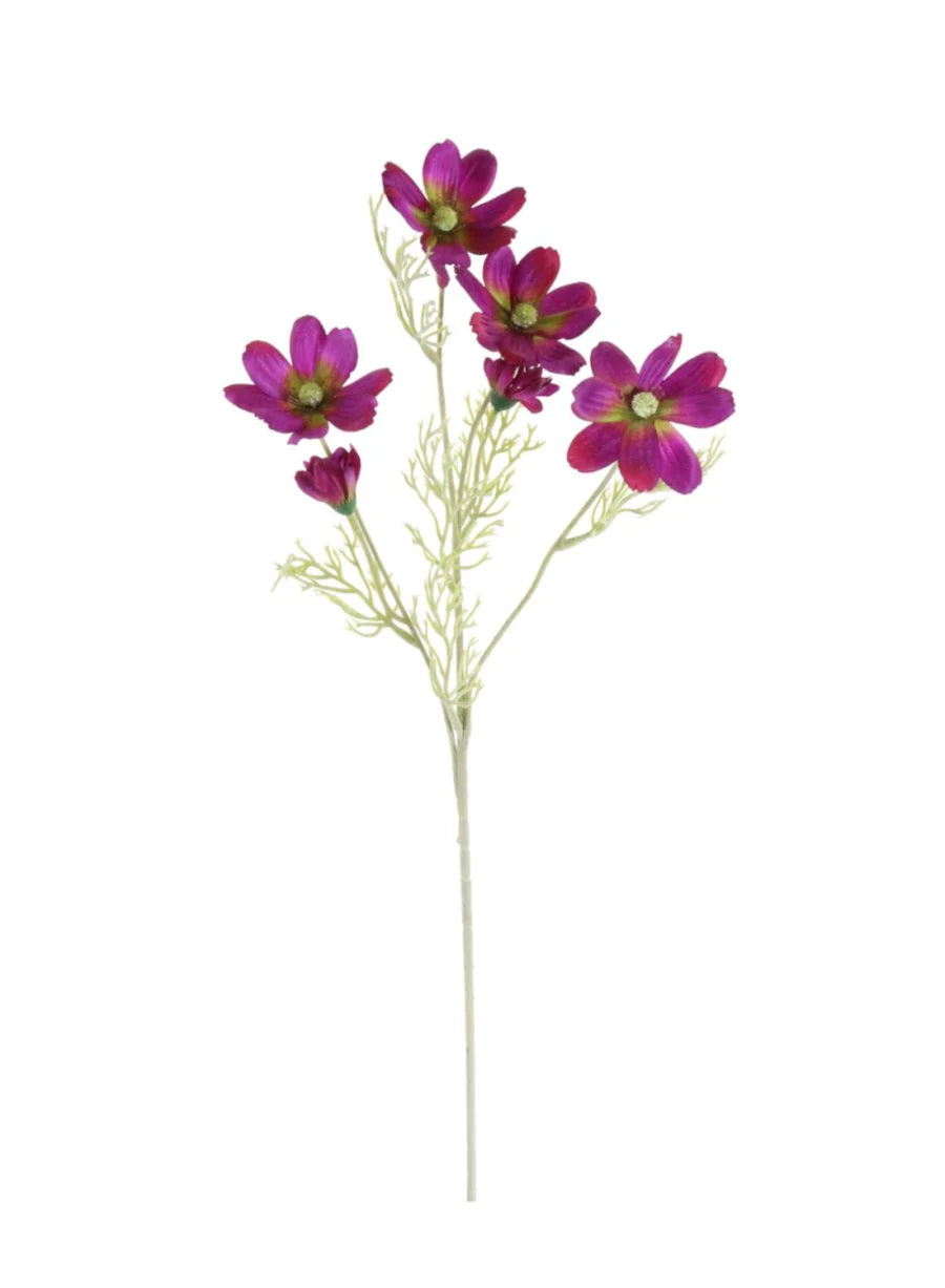 Cosmos Spray